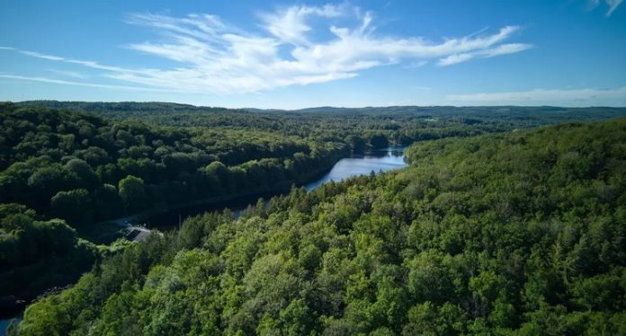 How Telia and Ponsse are transforming forestry with data