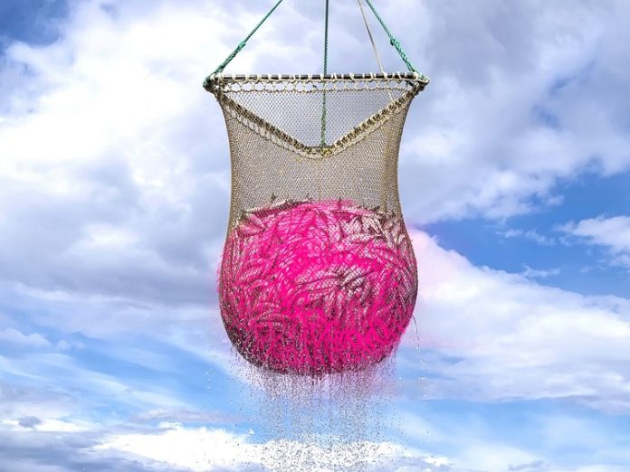 Telekom Cybersecurity