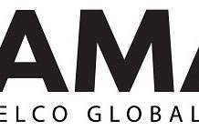 CAMARA Charts a Path for Network-Aware AI Applications with MCP CAMARA