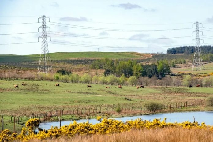 How Vodafone is future-proofing SP Energy Networks’ telecoms network