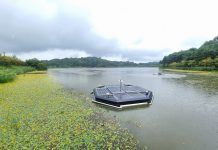 ECOPEACE Drives Deployment of AI-Driven Water-Cleanup Tech in Singapore, Dubai ECOPEACE Drives Deployment of AI-Driven Water-Cleanup Tech in Singapore, Dubai