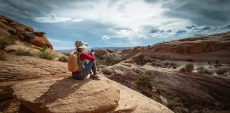 Rogers Expands Satellite-to-Mobile Coverage to the US