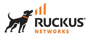 RUCKUS Networks