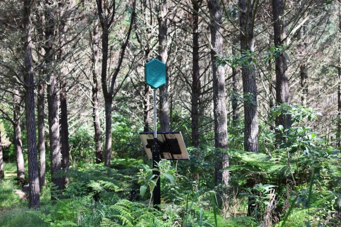 Spark, Dryad Deploy Ultra-Early Fire Detection at Waitangi Endowment Forest