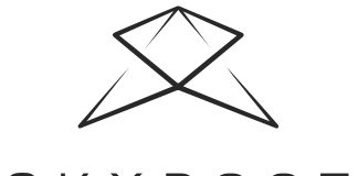 Skyroot Aerospace