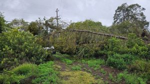 How Verizon is Reinforcing Connectivity Between Storms