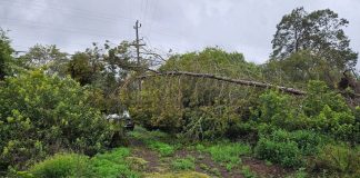 How Verizon is Reinforcing Connectivity Between Storms
